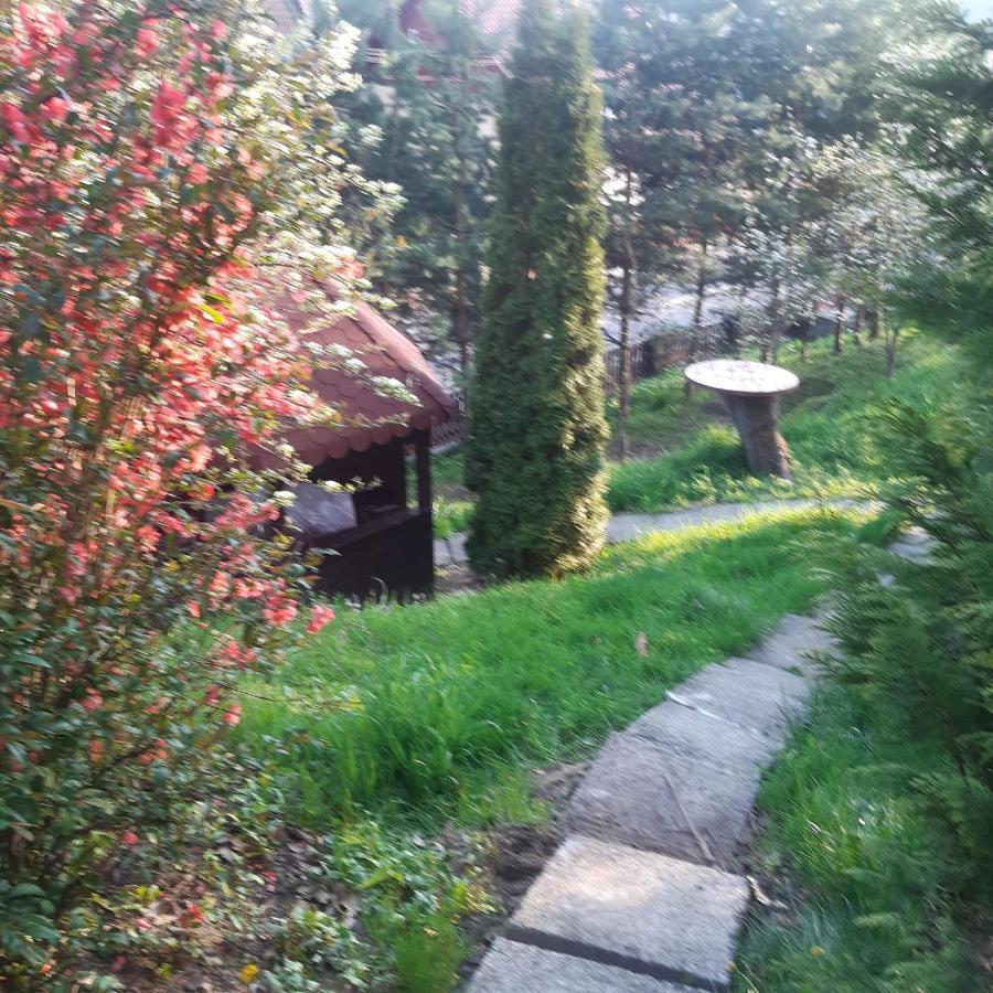 Casa Gyero Villa Sovata Exteriör bild